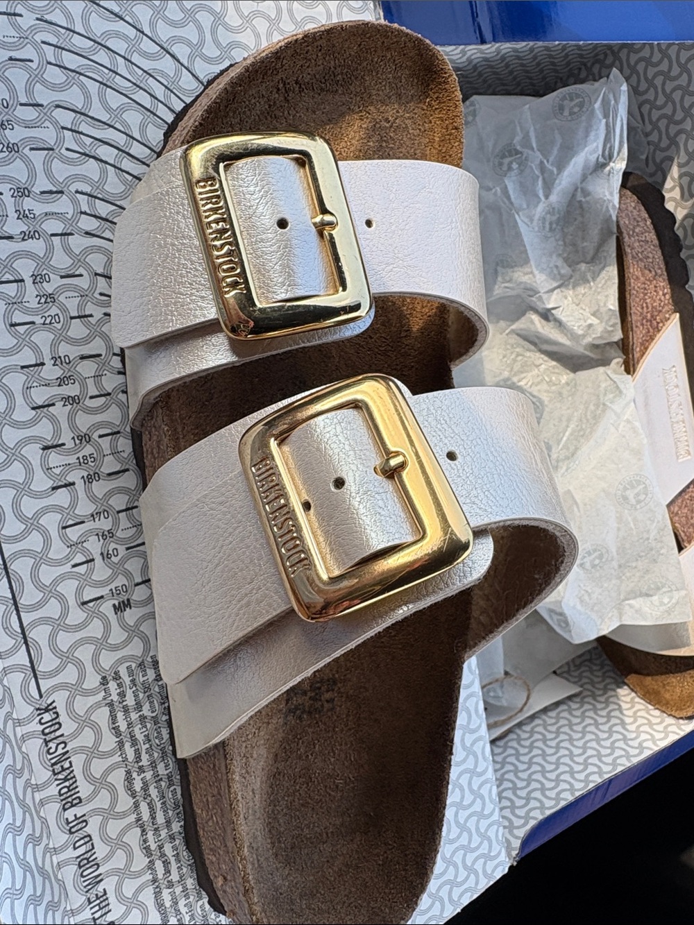 Sydney Cushion Buckle (pearl white) 37 Narrow